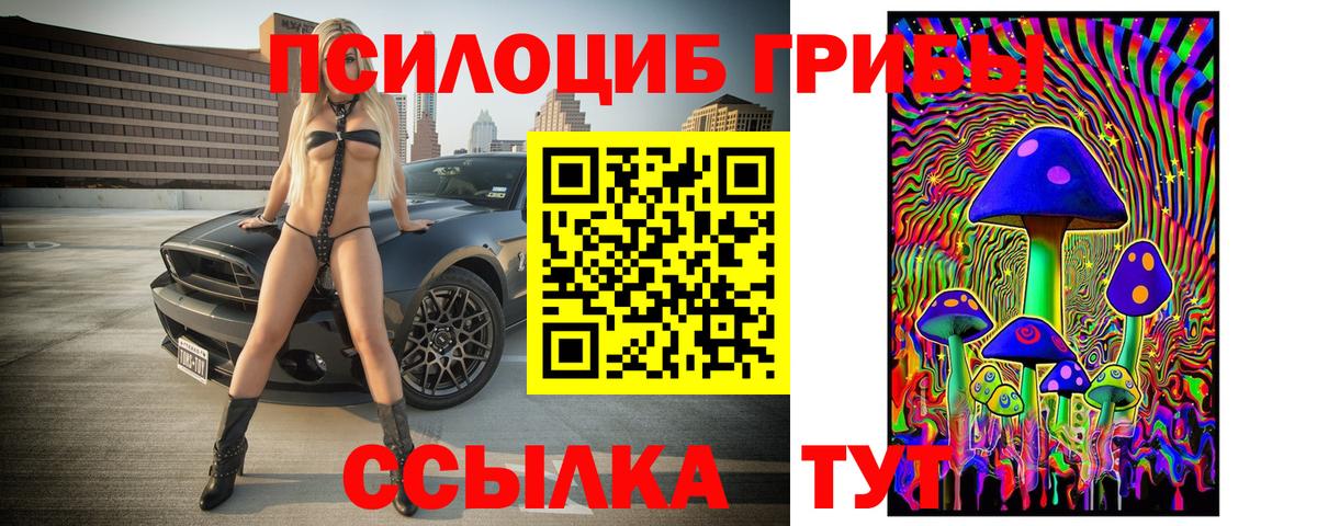 Галлюциногенные грибы Psilocybe  Псилоцибиновые грибы ЛСД  Вход с VPN  Конаково 