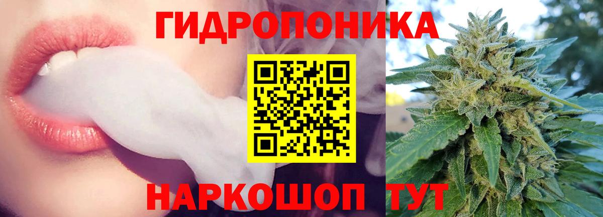 Конопля гибрид Конаково